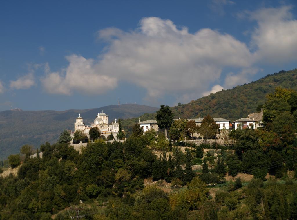 Pelion Goddess Villas Agios Georgios Nilias Rom bilde